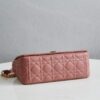 Dior Caro
