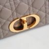 Dior Caro