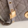 Dior Caro