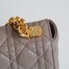 Dior Caro