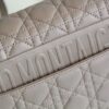Dior Caro