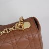 Dior Caro