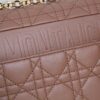 Dior Caro