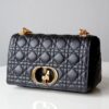 Dior Caro