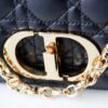 Dior Caro