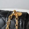Dior Caro