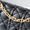 Dior Caro