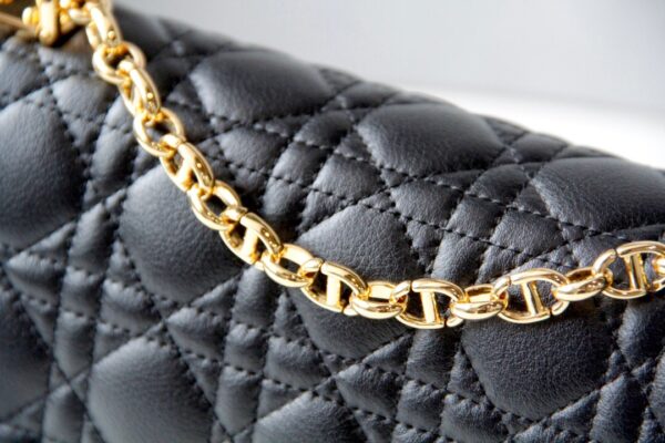 Dior Caro