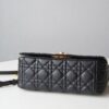 Dior Caro