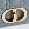 Dior Caro