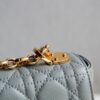 Dior Caro