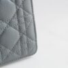 Dior Caro
