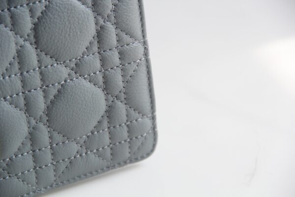 Dior Caro