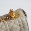 Dior Caro