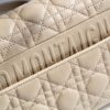 Dior Caro