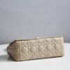 Dior Caro