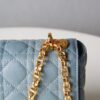 Dior Caro