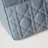 Dior Caro
