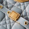 Dior Caro