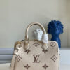 Louis Vuitton Speedy 25