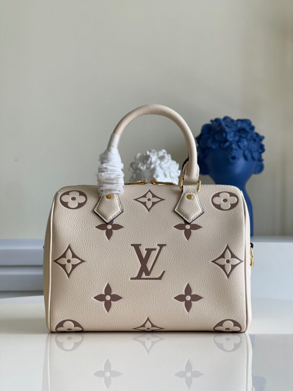 Louis Vuitton Speedy 25