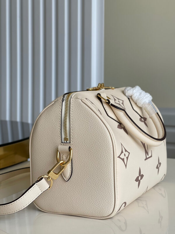 Louis Vuitton Speedy 25