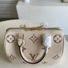 Louis Vuitton Speedy 25