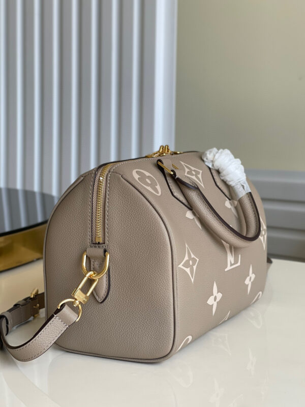 Louis Vuitton Speedy 25