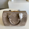 Louis Vuitton Speedy 25