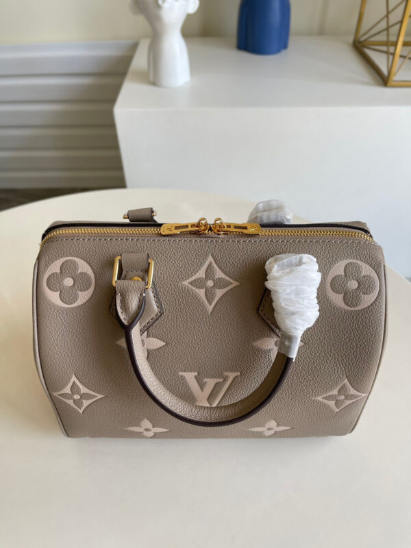 Louis Vuitton Speedy 25