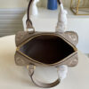 Louis Vuitton Speedy 25