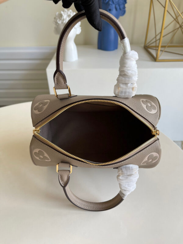 Louis Vuitton Speedy 25