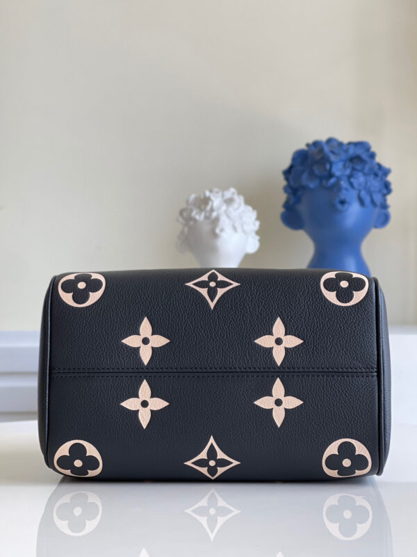 Louis Vuitton Speedy 25