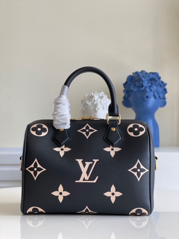Louis Vuitton Speedy 25