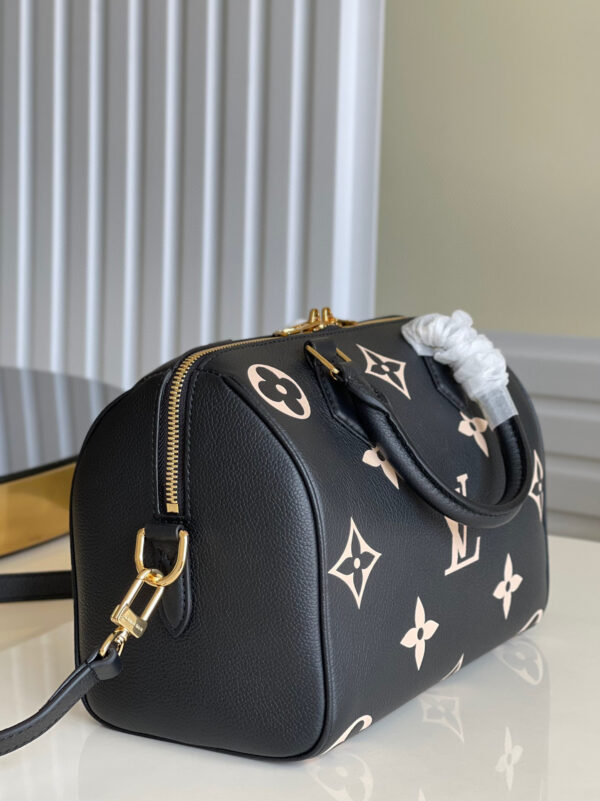 Louis Vuitton Speedy 25