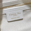 Dior Small D-Journey Bag