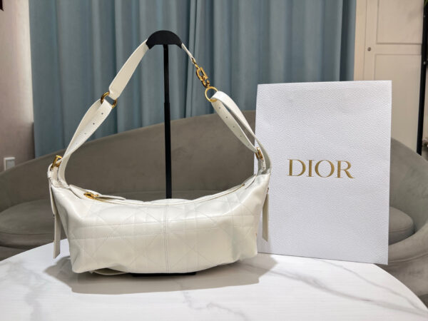 Dior Medium D-Journey Bag