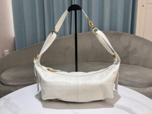 Dior Medium D-Journey Bag