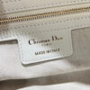 Dior Medium D-Journey Bag