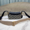 Dior Small Streetchic Bag