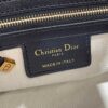 Dior Small Streetchic Bag