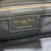 Dior Small Streetchic Bag