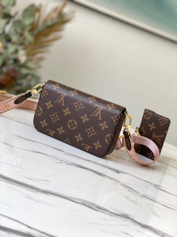 Louis Vuitton Multi Pochette Felicie