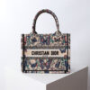 Small Dior Book Tote
