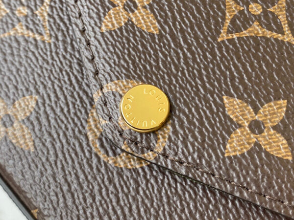 Louis Vuitton Multi Pochette Felicie