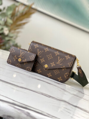 Louis Vuitton Multi Pochette Felicie
