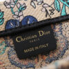 Small Dior Book Tote