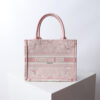 Small Dior Book Tote