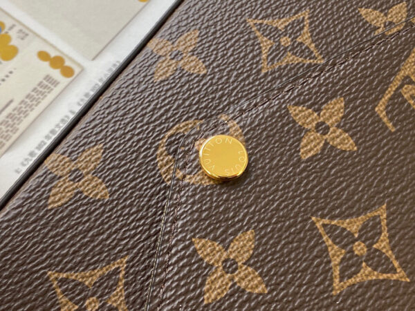 Louis Vuitton Multi Pochette Felicie