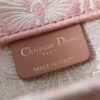 Small Dior Book Tote